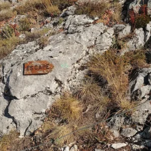 Cartel escape de la Ferrata Flores y lanugas de Arbás