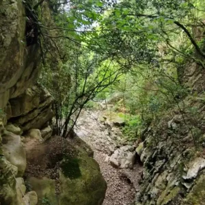 ES.CAN.030 Ferrta Rio Calera Ramales cauce rio