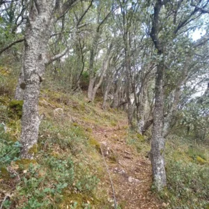 ES.CYL.020 Ferrata Cigüenza Villarcayo 7